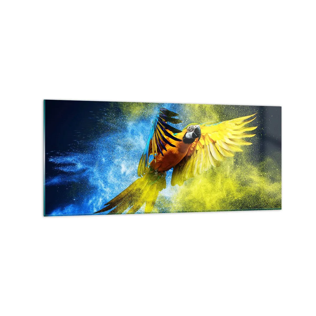 Obraz na szkle - Papuga w locie na tle kolorowych eksplozji żółtego i niebieskiego - 120x50cm - W błękitno-złotym pyle - Nowoczesna dekoracja ścienna do salonu i sypialni ARTTOR