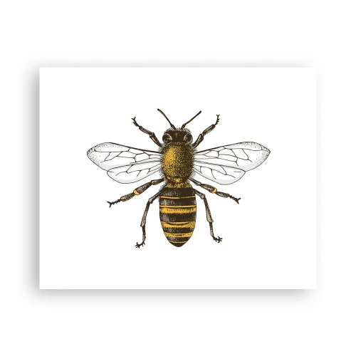 Plakat - Piękna i dobra - 50x40 cm