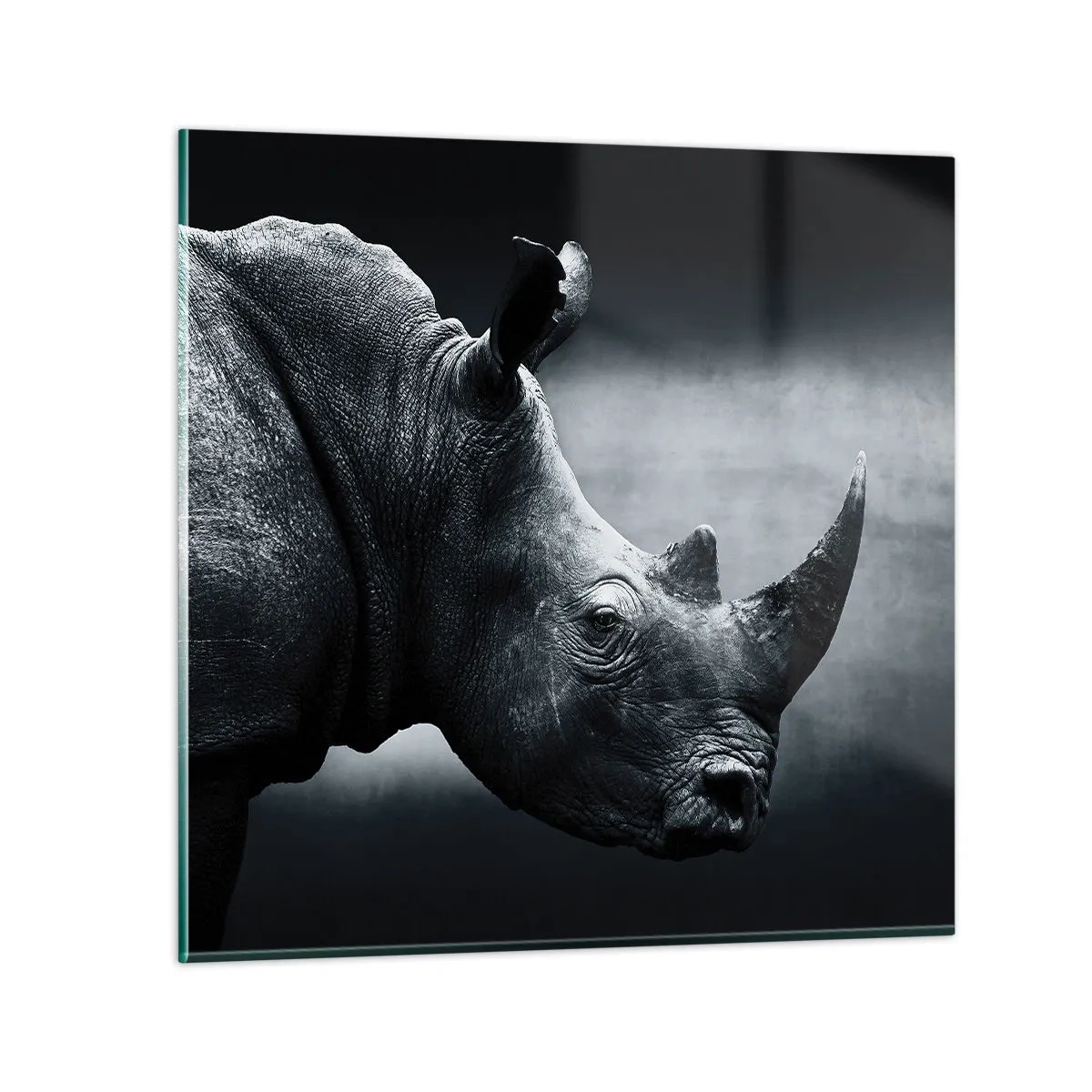 Obraz na szkle - Prawy profil - 70x70 cm