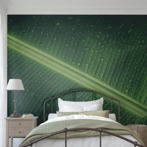 Fototapeta Premium Canvas - Struktura zieleni - Zielony Liść, Roślina Tropikalna, Sztuka - 350x256 cm