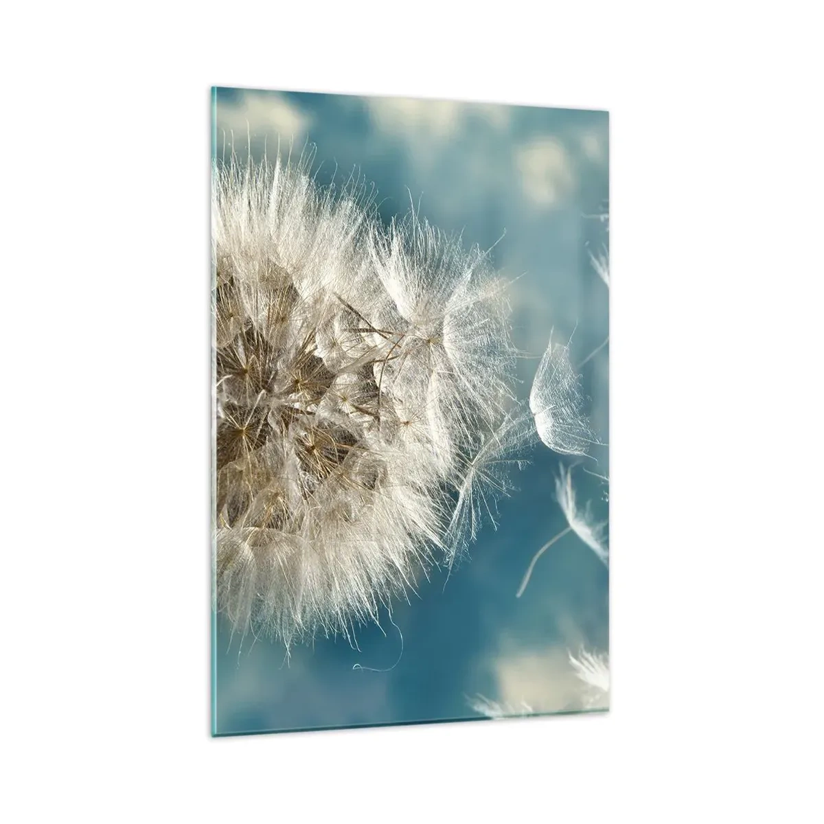 Obraz na szkle - Zdmuchiwany dmuchawiec na tle niebieskiego nieba - 80x120cm - Oddech anioła - Nowoczesna dekoracja ścienna do salonu i sypialni ARTTOR