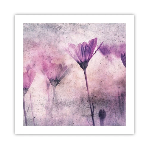 Plakat - Sen kwiatów - 50x50 cm