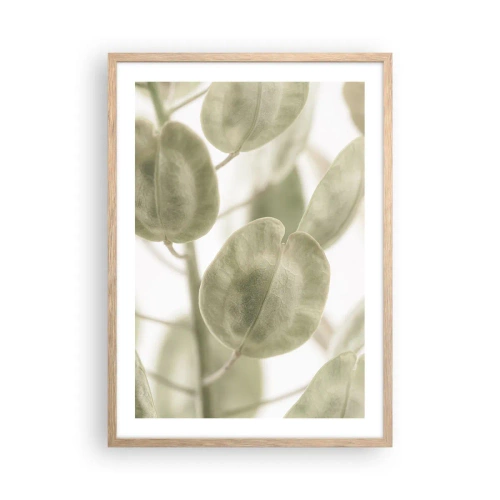 Plakat w ramie jasny dąb - Na początku były listki… - 50x70 cm