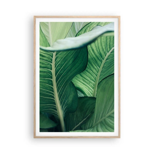 Plakat w ramie jasny dąb - Życie intensywnie zielone - 70x100 cm