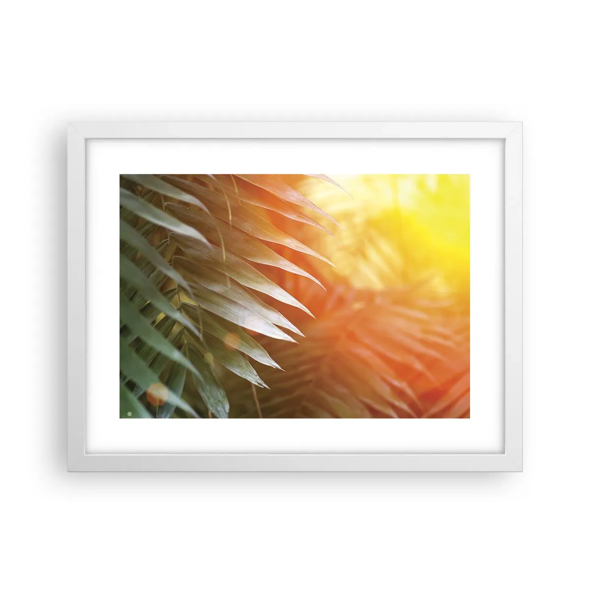 Plakat w białej ramie - Poranek w dżungli - 40x30 cm
