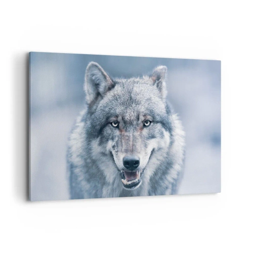 Obraz na płótnie - Wilk z intensywnym spojrzeniem w zimowym krajobrazie - 120x80cm - Podejmiesz wyzwanie? - Nowoczesna dekoracja ścienna do salonu, kuchni i sypialni ARTTOR