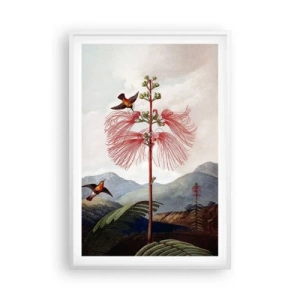 Plakat w białej ramie - W tropikalnym raju - 61x91 cm