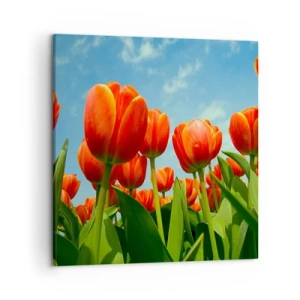 Obraz na płótnie - Oprócz błękitnego nieba nic im w życiu nie potrzeba - 50x50 cm