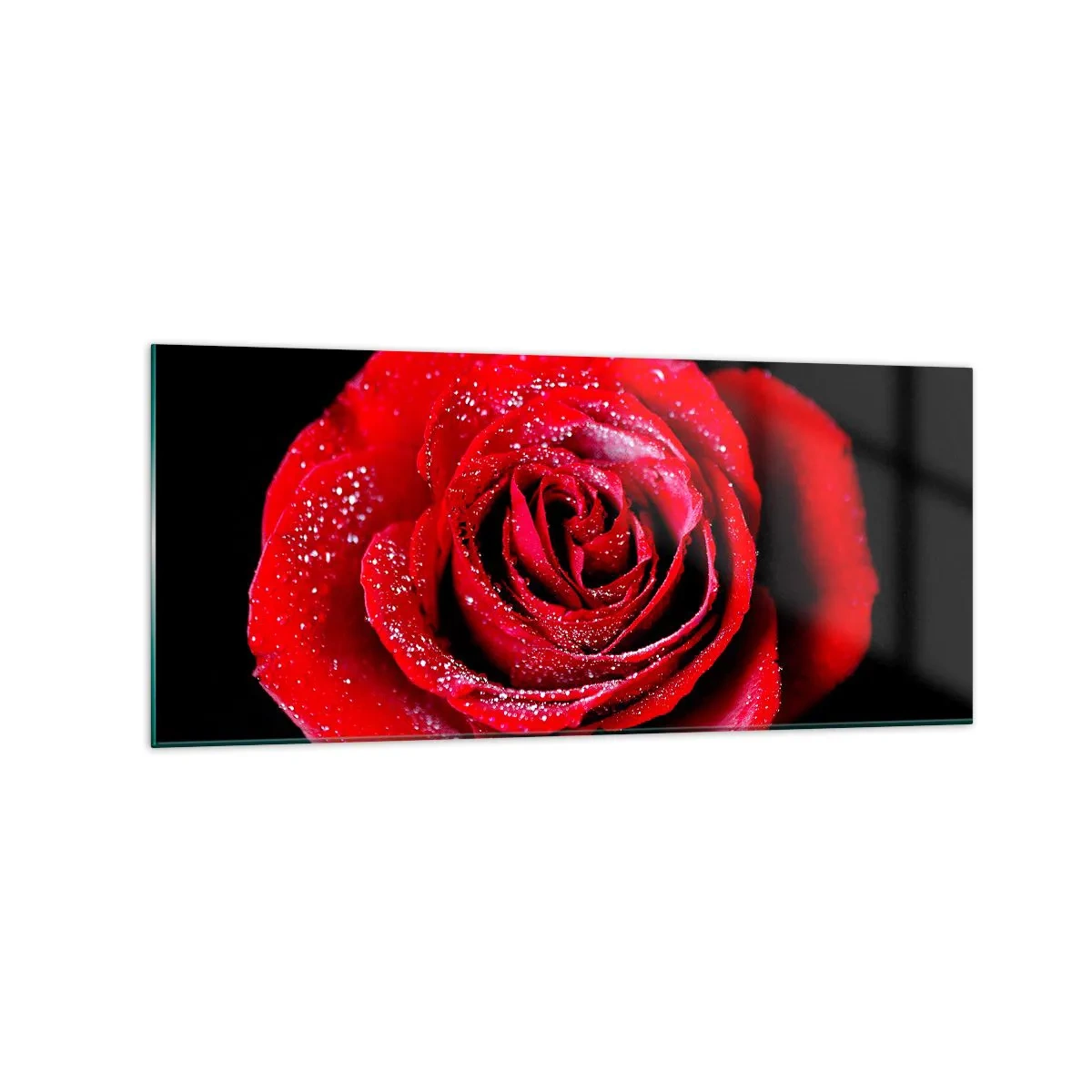 Obraz na szkle - Czerwona róża pokryta kroplami rosy na czarnym tle. - 120x50cm - To właśnie miłość - Nowoczesna dekoracja ścienna do salonu i sypialni ARTTOR