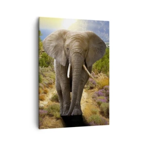 Obraz na płótnie - Słoń kroczący po afrykańskim stepie w promieniach słońca - 50x70cm - Tak wyglądał Eden - Nowoczesna dekoracja ścienna do salonu, kuchni i sypialni ARTTOR