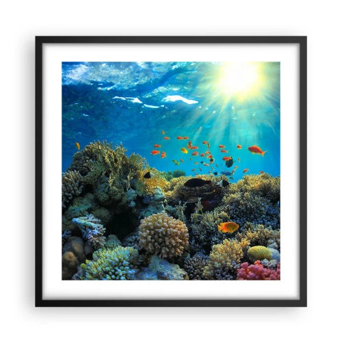 Plakat w czarnej ramie - Podwodne skarby - 50x50 cm