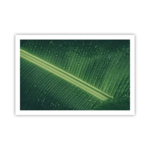 Plakat - Struktura zieleni - 91x61 cm