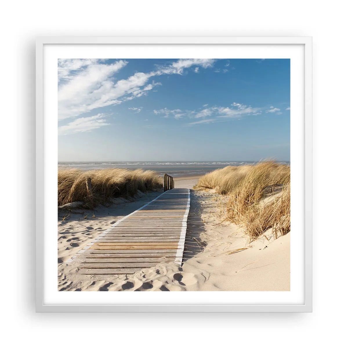 Plakat w białej ramie - Za wydmą, w szumie traw - 60x60 cm