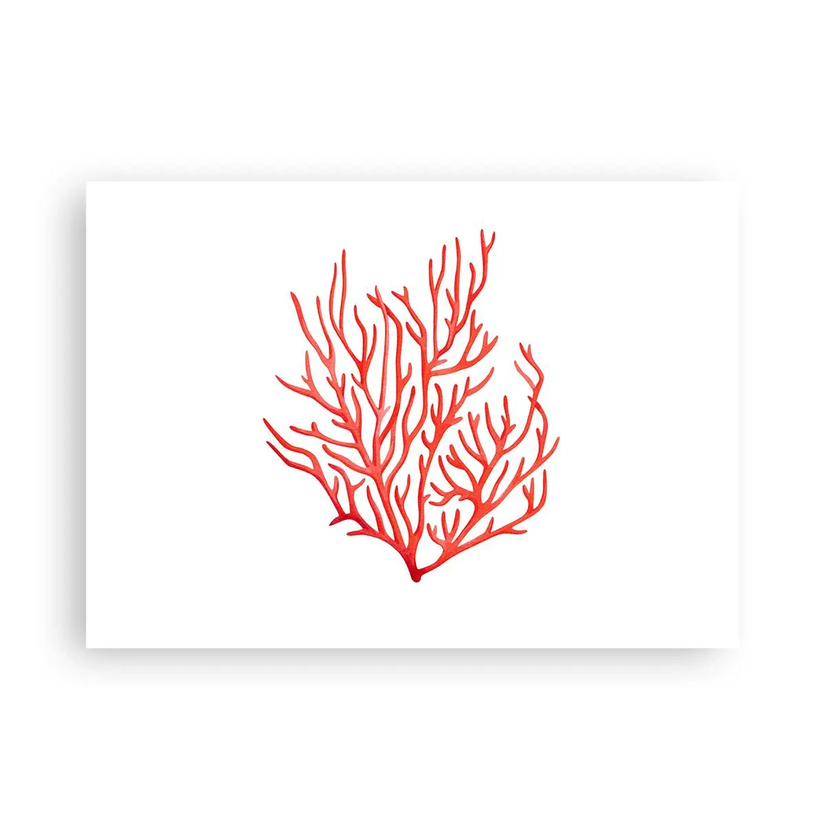 Plakat - Koralowy filigran - 70x50 cm