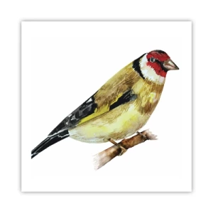 Plakat - Ptasi portret - 60x60 cm