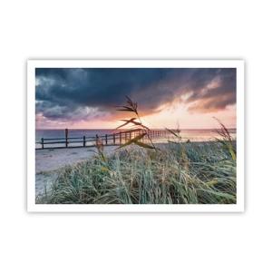 Plakat - Plaża o zachodzie słońca z trawami na pierwszym planie - 100x70cm - Nie przemija z wiatrem - Nowoczesna dekoracja ścienna do salonu i sypialni ARTTOR
