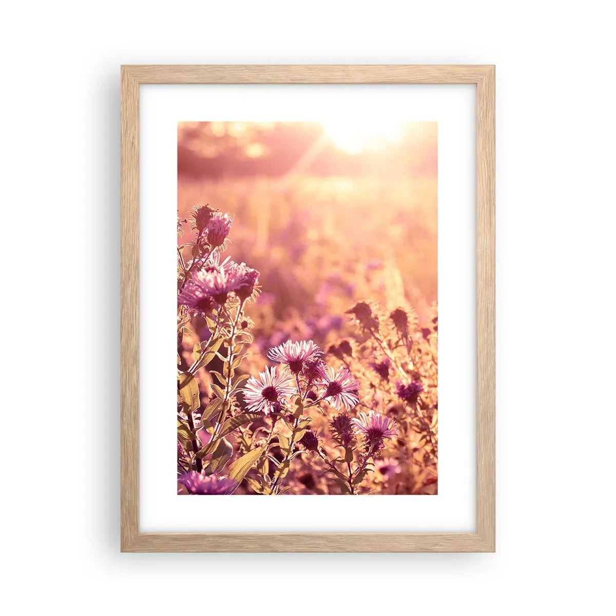 Plakat w ramie jasny dąb - Przed odejściem lata - 30x40 cm