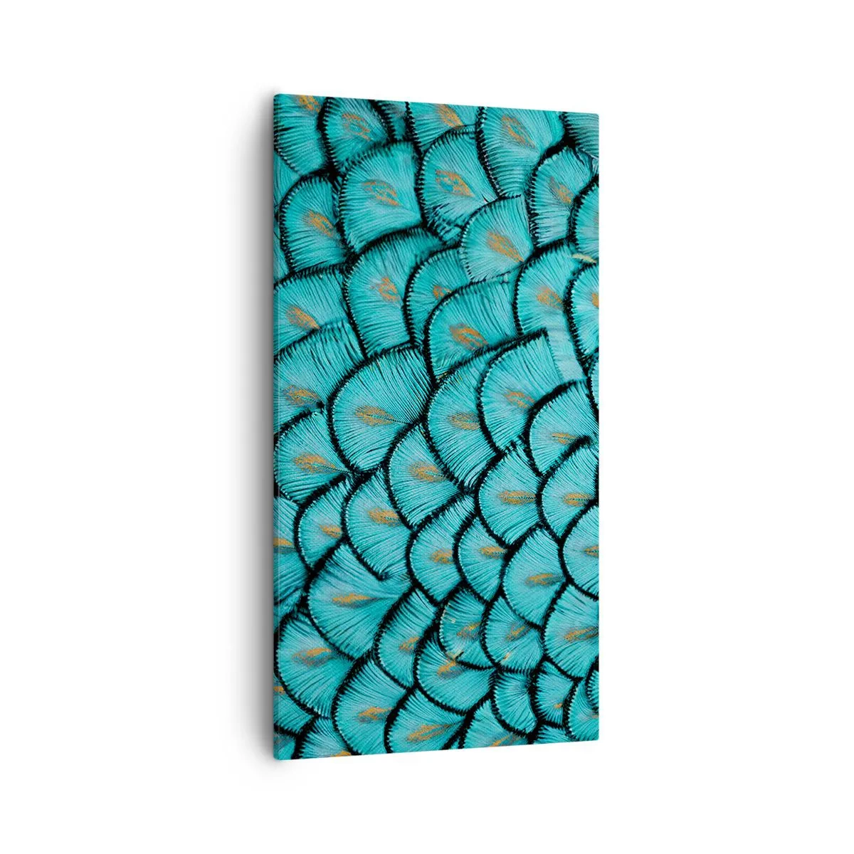 Obraz na płótnie - Wielka gala piór - 55x100 cm