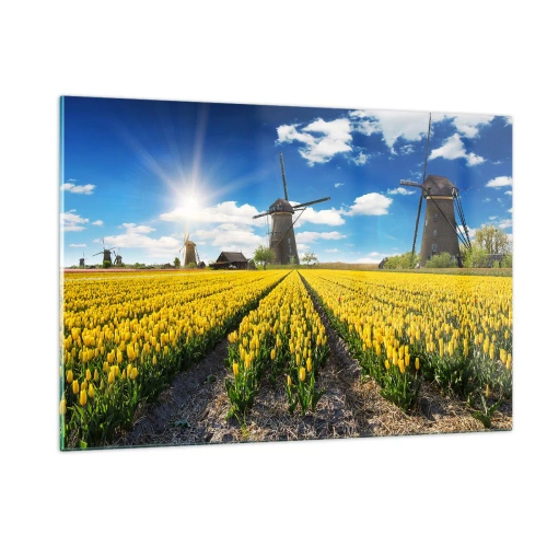 Obraz na szkle - Pole żółtych tulipanów z wiatrakami w tle w słoneczny dzień - 120x80cm - Bardziej holenderski być nie może - Nowoczesna dekoracja ścienna do salonu, kuchni i sypialni ARTTOR