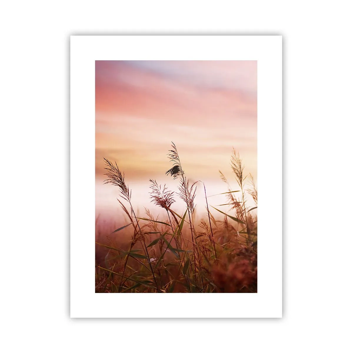 Plakat - Latawce, dmuchawce, wiatr - 30x40 cm