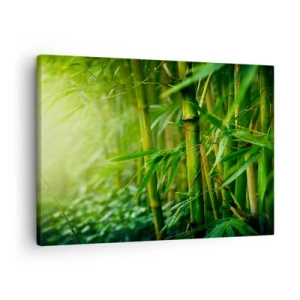 Obraz na płótnie - Zielony bambusowy las w delikatnym świetle - 70x50cm - Poznać zieleń samą w sobie - Nowoczesna dekoracja ścienna do salonu i sypialni ARTTOR