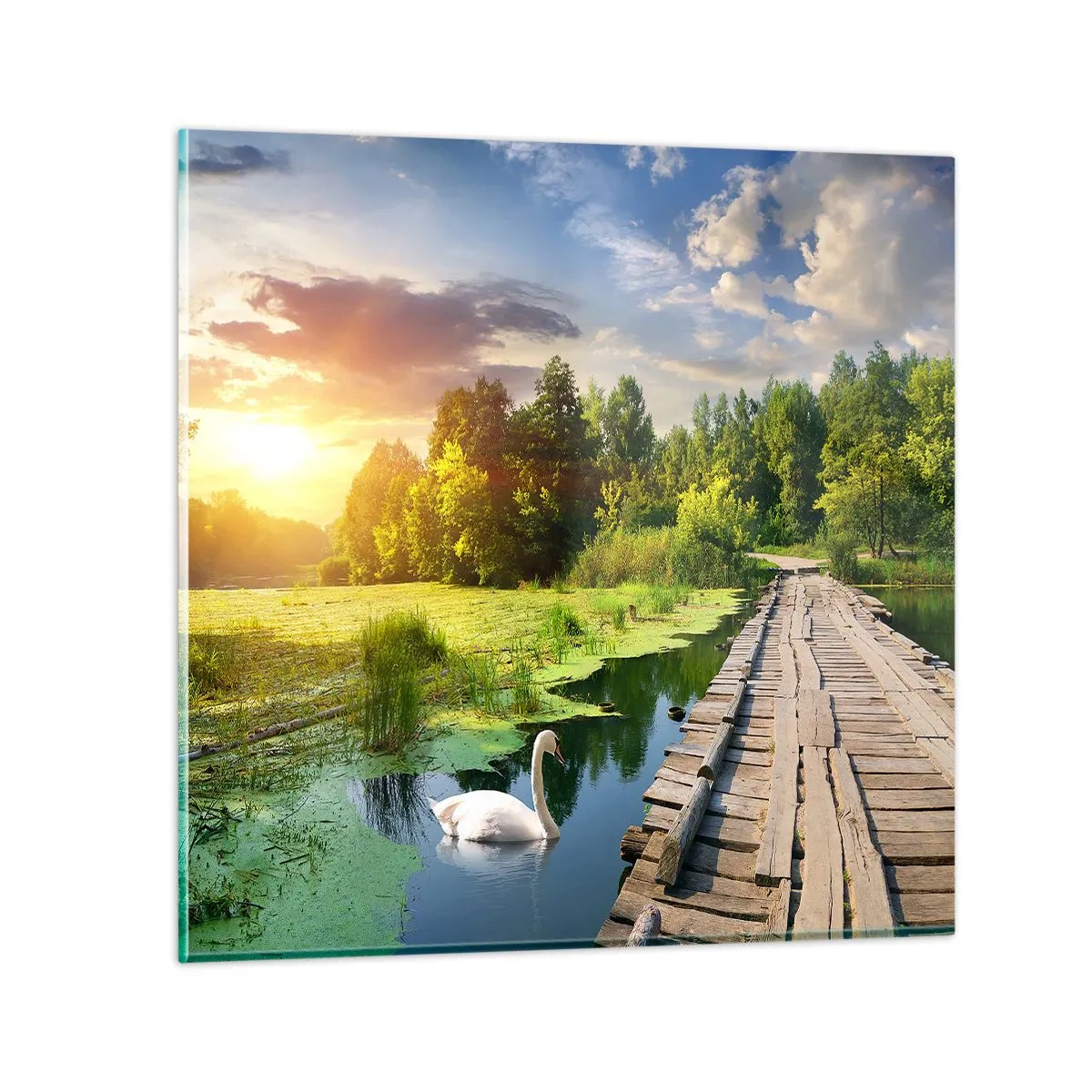 Obraz na szkle - Lato, lato wszędzie - 50x50 cm