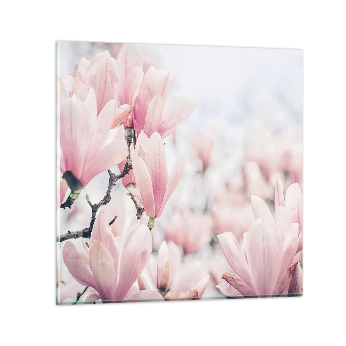 Obraz na szkle - Ideał subtelności - 70x70 cm