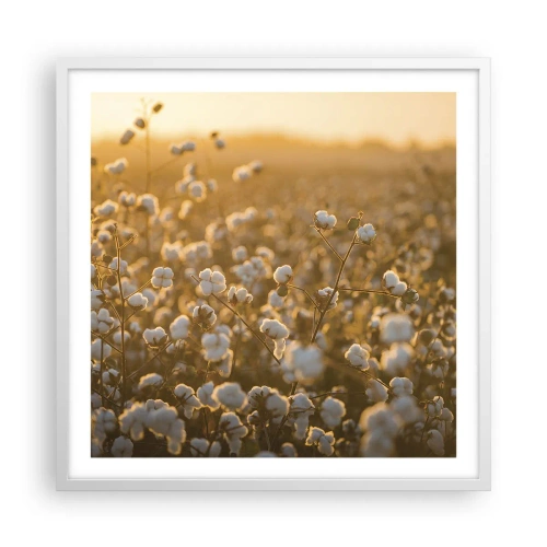Plakat w białej ramie - Puszyste pole - 60x60 cm