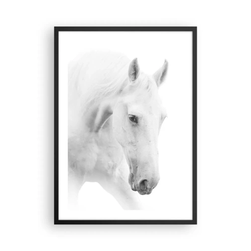 Plakat w czarnej ramie - Portret białego konia w minimalistycznym stylu - 50x70cm - Czy to jest przyjaźń…? - Nowoczesna dekoracja ścienna do salonu i sypialni ARTTOR