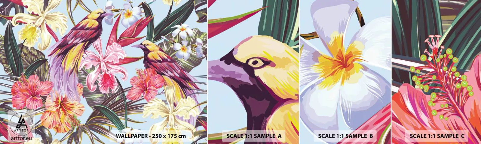 Fototapeta Próbka Standard Eco - Płatki i piórka - Ptak , Kwiaty, Ogród - 100x30 cm