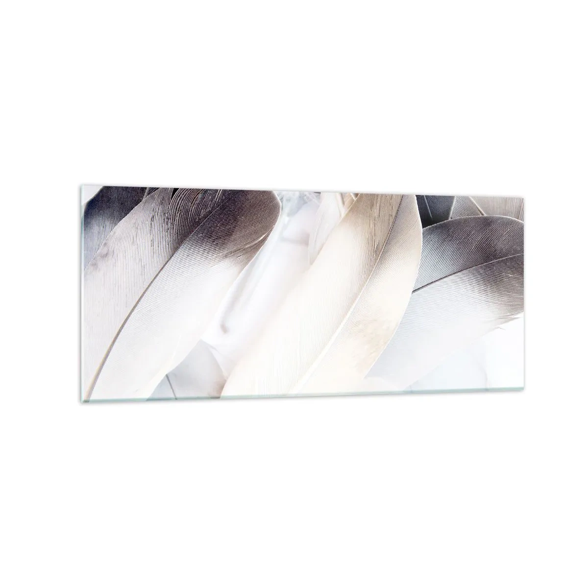 Obraz na szkle - Zbliżenie na delikatne pióra w odcieniach bieli i szarości - 120x50cm - Niemal anielskie - Nowoczesna dekoracja ścienna do salonu i sypialni ARTTOR