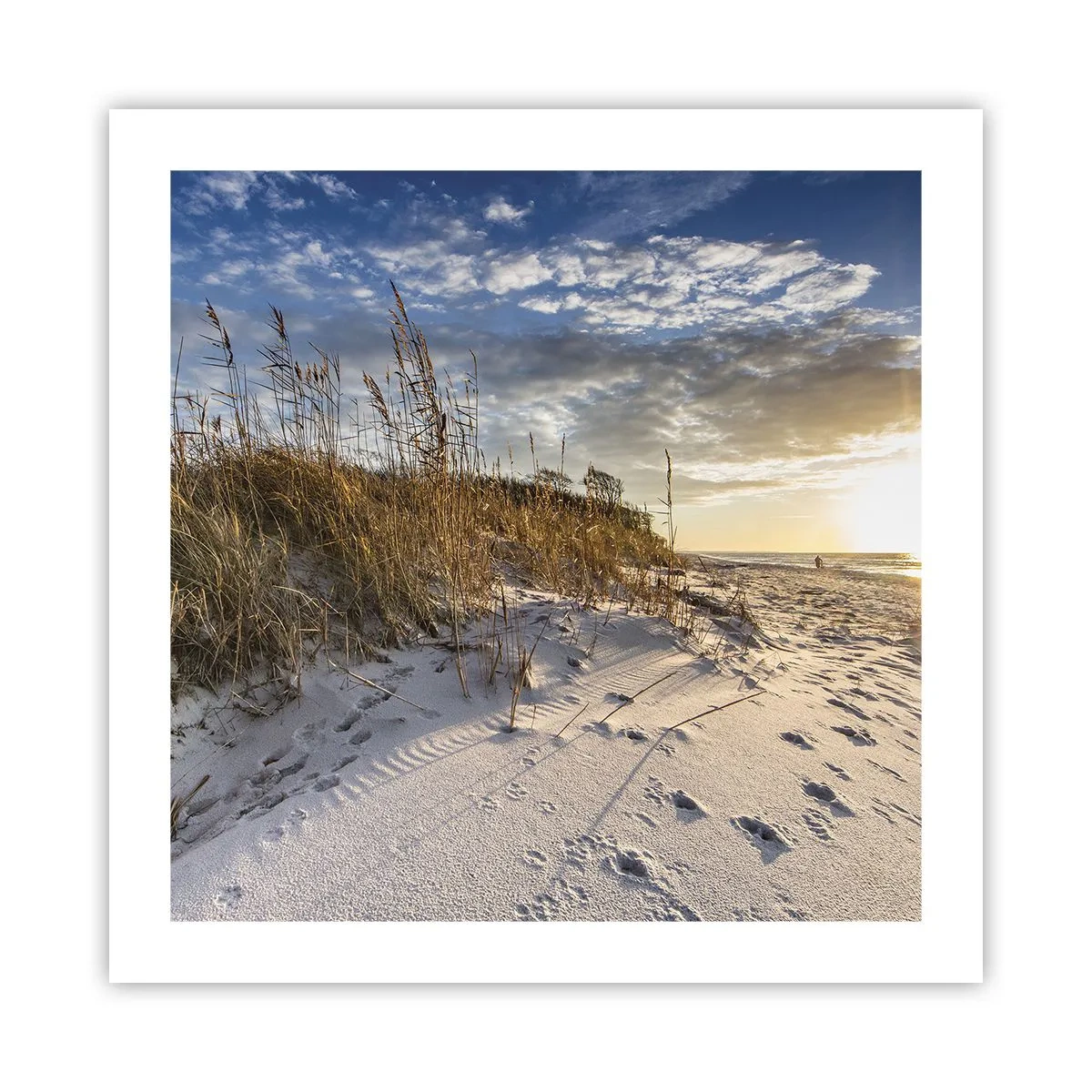 Plakat - Zaproszenie na spacer - 50x50 cm