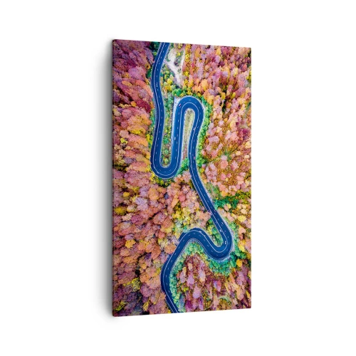 Obraz na płótnie - Krętą drogą poprzez las - 45x80 cm