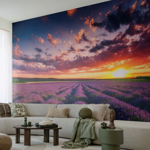 Fototapeta Premium Sand - Lawendowe pole o zachodzie słońca - 100x70cm - Lawendowy świat - Nowoczesna dekoracja ścienna do salonu, kuchni i sypialni ARTTOR