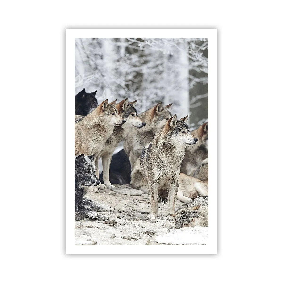 Plakat - Rodzina i przyjaciele - 61x91 cm