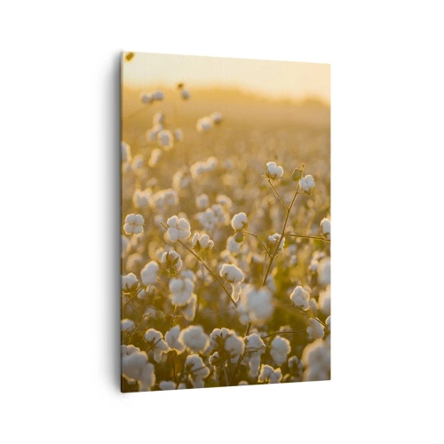 Obraz na płótnie - Pole bawełny w ciepłym świetle zachodzącego słońca - 70x100cm - Puszyste pole - Nowoczesna dekoracja ścienna do salonu i sypialni ARTTOR
