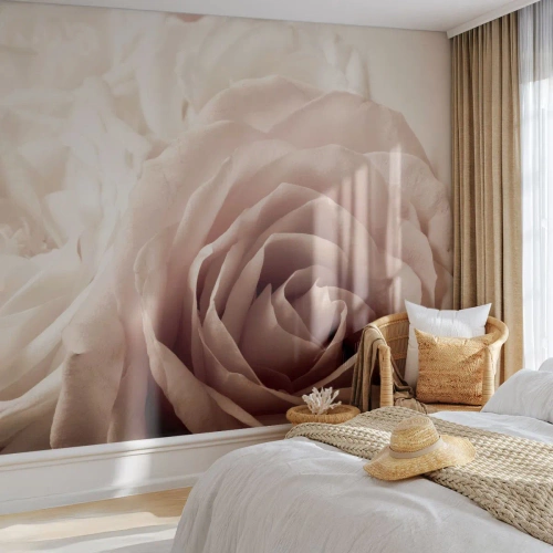 Fototapeta Premium Sand - W sercu róży - Róże, Kwiaty, Romantyczny - 400x280 cm