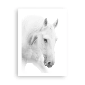 Plakat - Portret białego konia w minimalistycznym stylu - 50x70cm - Czy to jest przyjaźń…? - Nowoczesna dekoracja ścienna do salonu, kuchni i sypialni ARTTOR