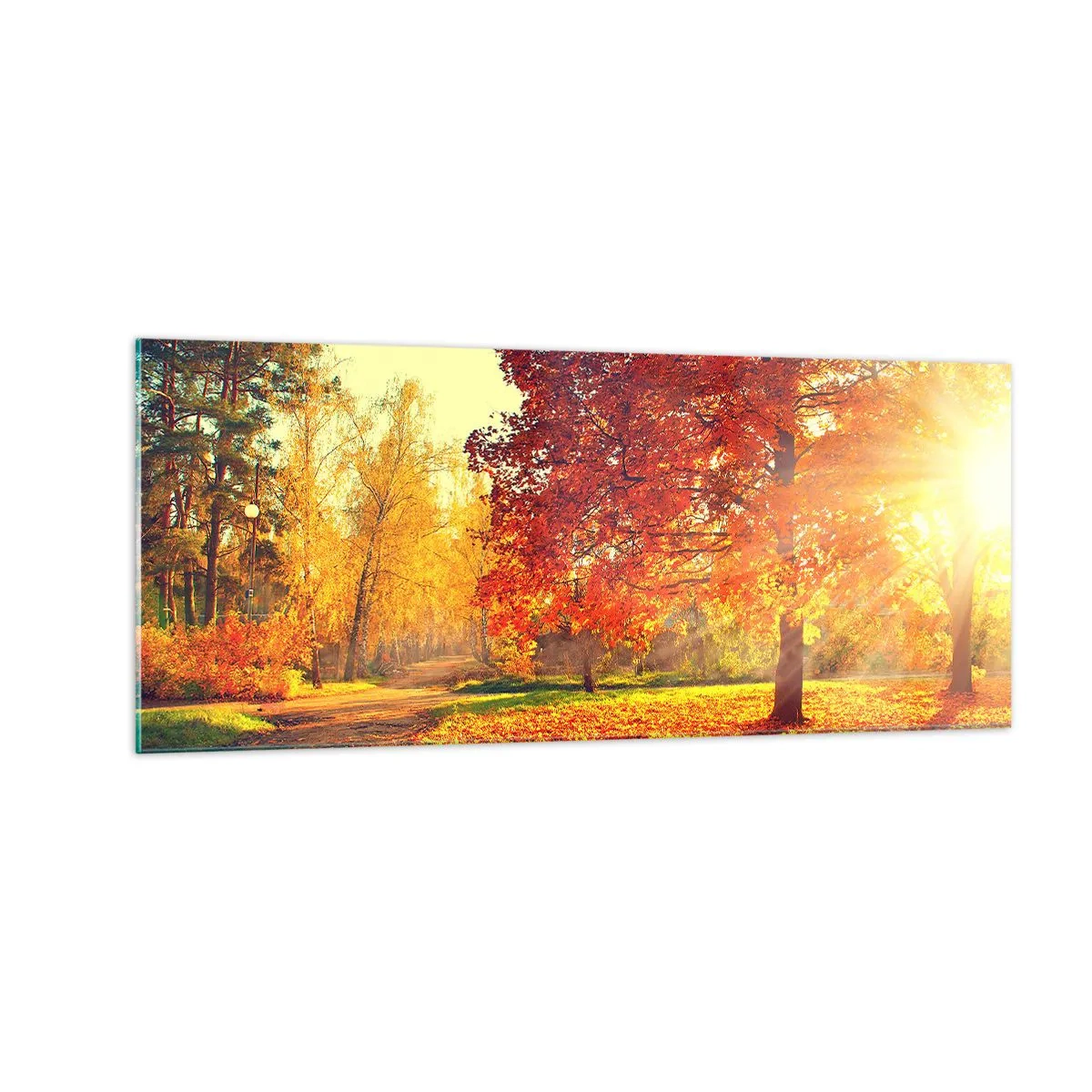 Obraz na szkle - Rude jest piękne - 100x40 cm