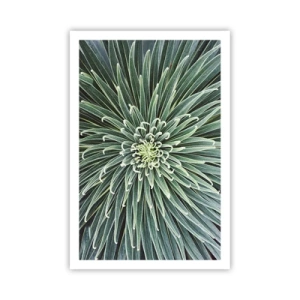Plakat - Narodziny gwiazdy - 61x91 cm