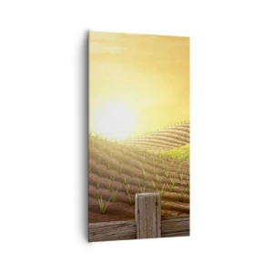 Obraz na płótnie - Farma jak z bajki - 65x120 cm