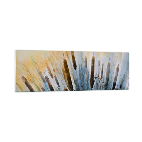 Obraz na szkle - Malownicze trzciny w promieniach słońca - 160x50cm - Chłód wody, słońca żar - Nowoczesna dekoracja ścienna do salonu i sypialni ARTTOR