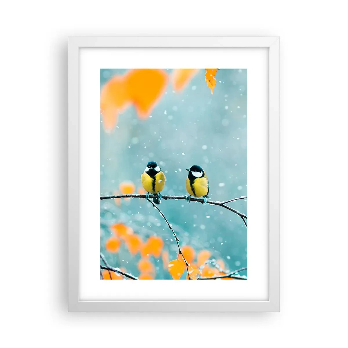 Plakat w białej ramie - Ptasie plotki - 30x40 cm