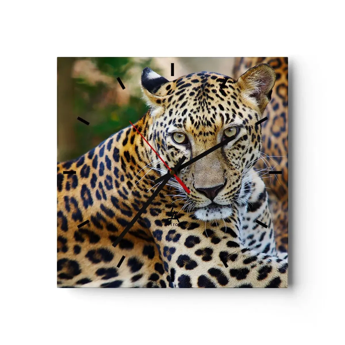 Zegar ścienny - Jaguar odpoczywający w naturalnym otoczeniu z zielonym tłem. - 30x30cm - Dziki i spokojny - Nowoczesna dekoracja ścienna do salonu i sypialni ARTTOR