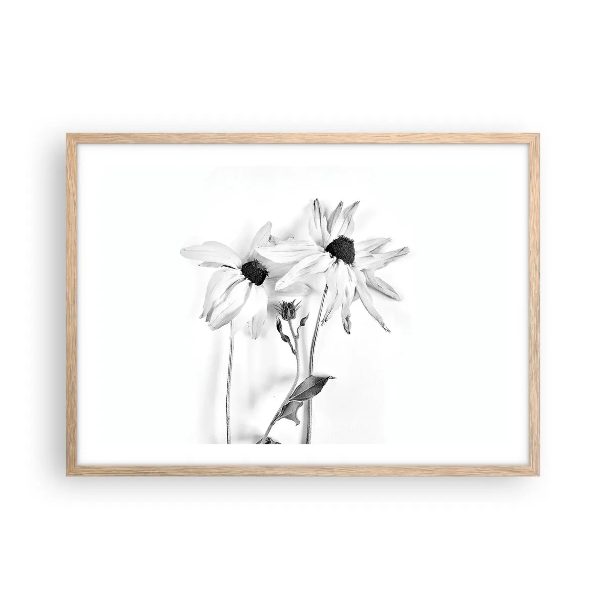 Plakat w ramie jasny dąb - Nikt nie chce być sam - 70x50 cm