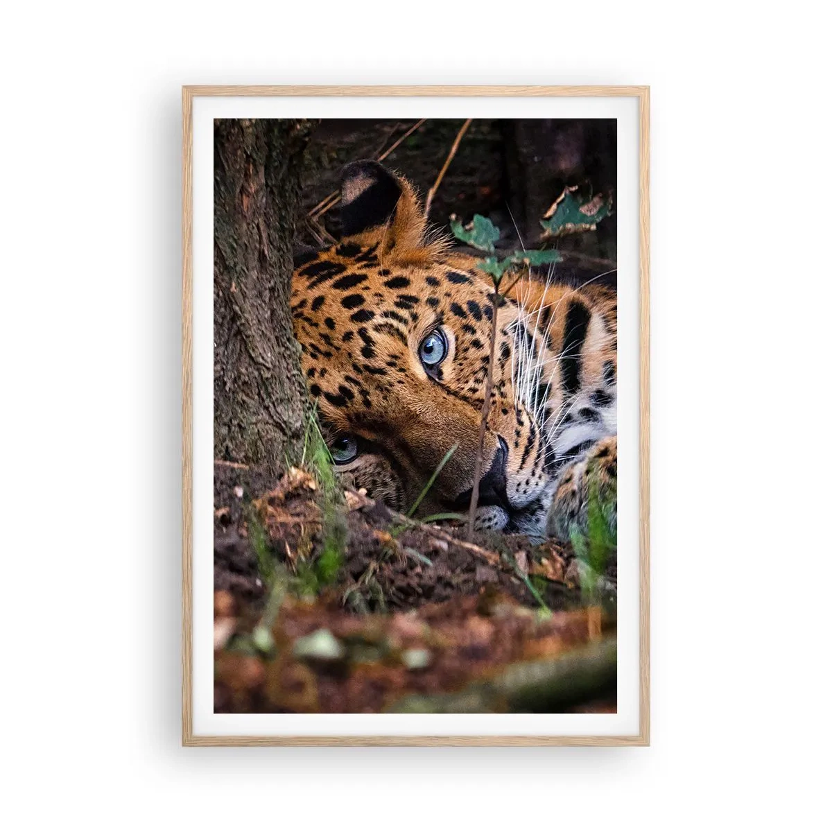 Plakat w ramie jasny dąb - Zaufaj mi - 70x100 cm