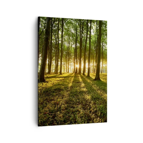 Obraz na płótnie - Las o poranku z promieniami słońca - 50x70cm - Fotografia wszystkich wiosen - Nowoczesna dekoracja ścienna do salonu, kuchni i sypialni ARTTOR