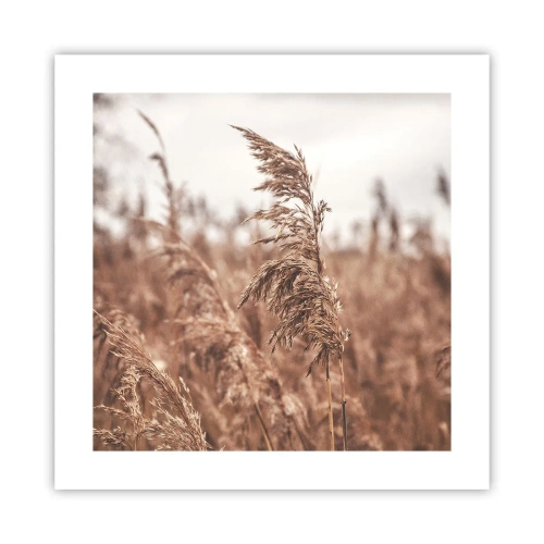 Plakat - Na polach już jesień - 40x40 cm