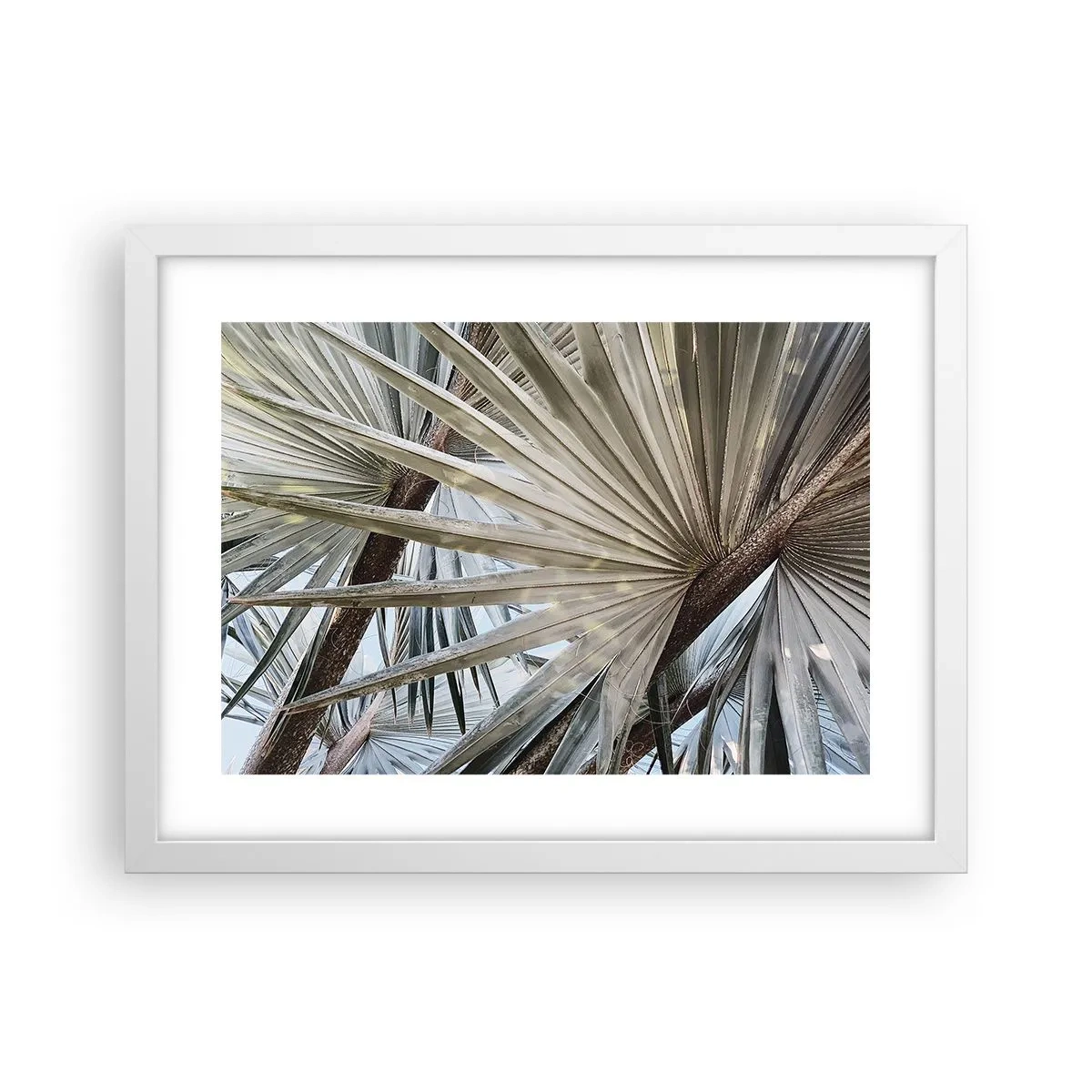 Plakat w białej ramie - Wachlarze w tropikach - 40x30 cm