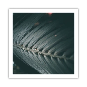 Plakat - Precyzja natury - 60x60 cm